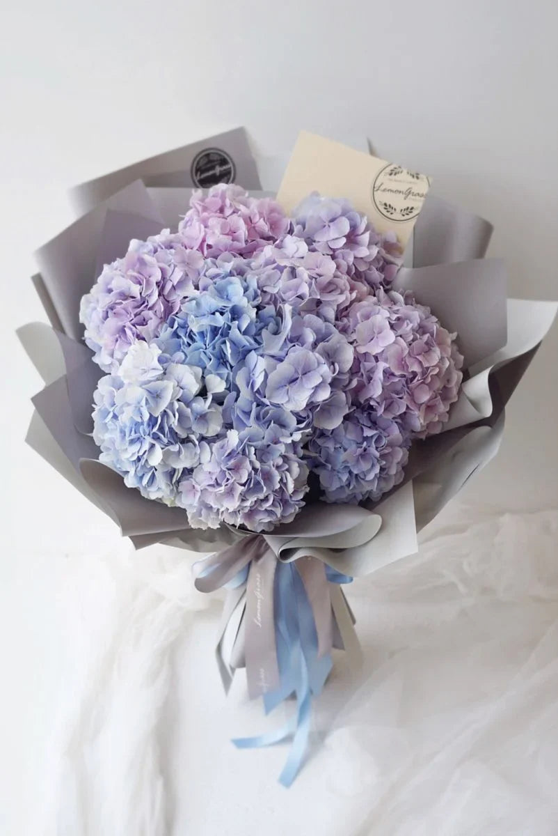 Hydrangeas