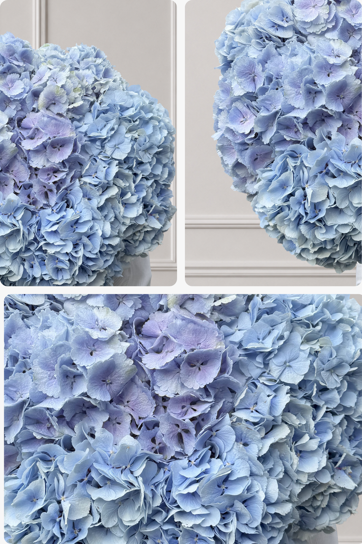 Cloud of Sapphire - Blue Hydrangeas Bouquet