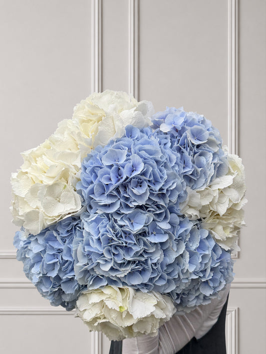 Serenity Cloud - White and Blue Hydrangeas Bouquet