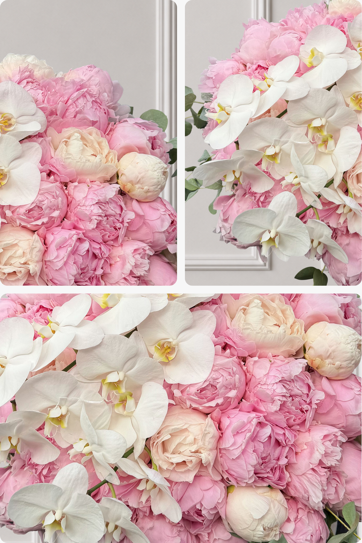 Blush Royale - Blush Peonies & Orchids Bouquet